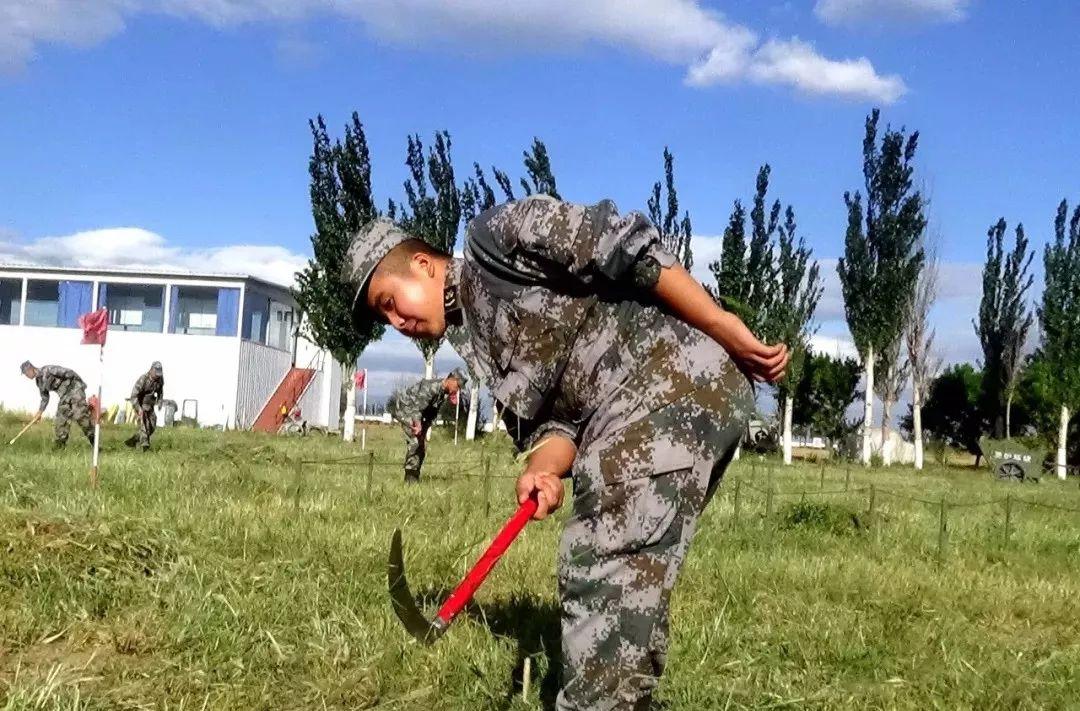 当你来到部队,就要远离懒惰,用勤劳的双手创造干净舒适的环境,春种树