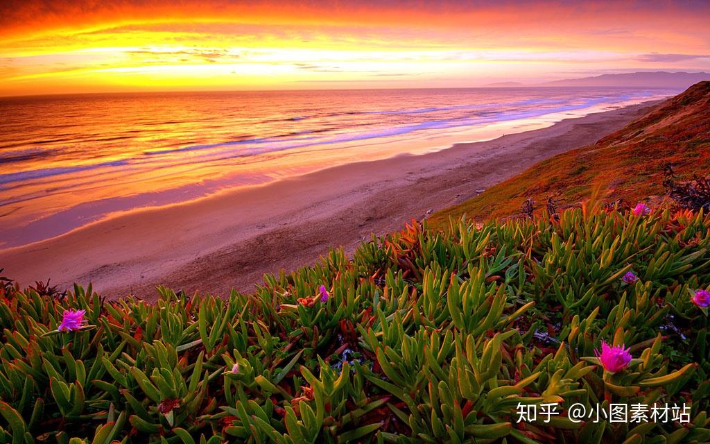 植物,总是不动声色的展现它的美~ 67