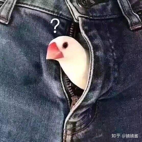 有没有很土或者特别的微信头像和签名看到第一眼就不想加的那种