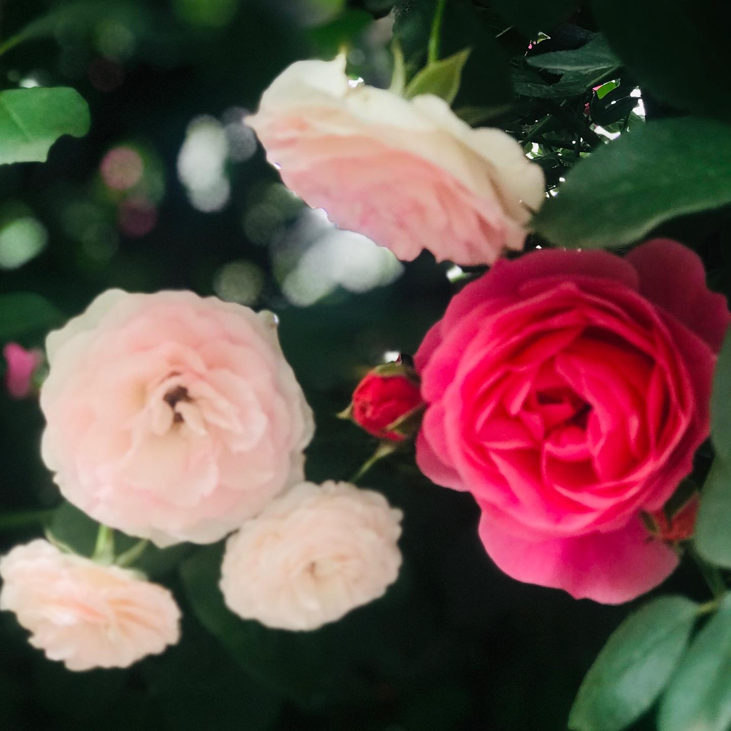 久久归一
