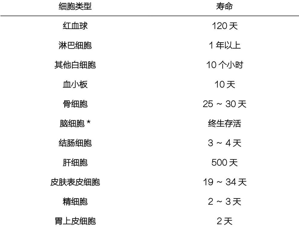 人体细胞的平均寿命有多长?