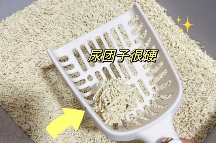 猫砂多久换一次能给猫咪创造更好的如厕空间?铲屎官必备宠物用品指南!