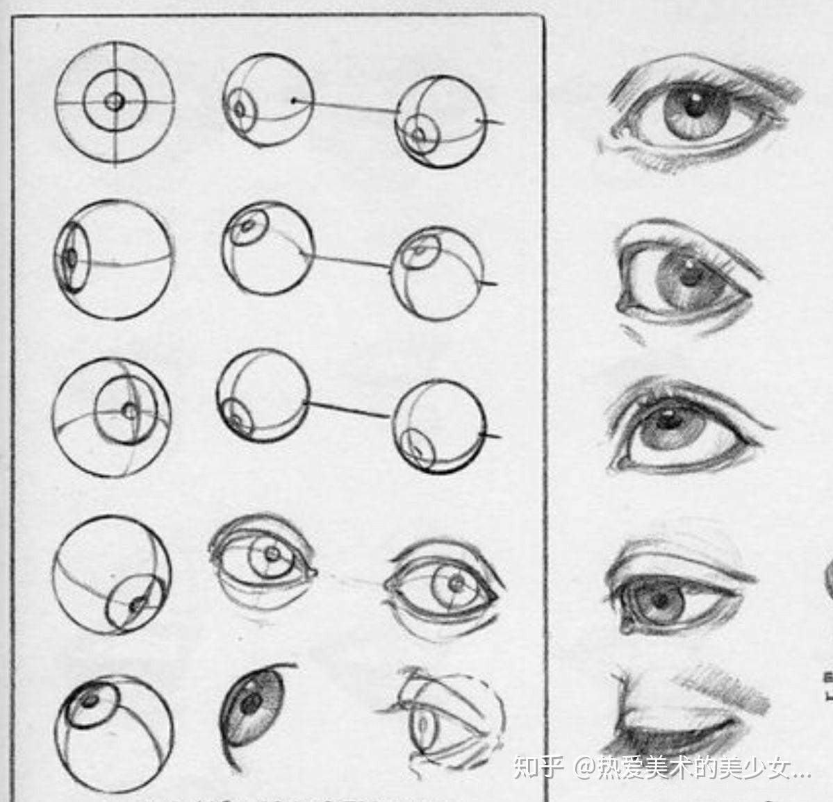 眼睛结构图画图片