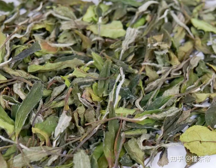 不是吓唬你!这种茶喝多了小心氟中毒…… - 知乎