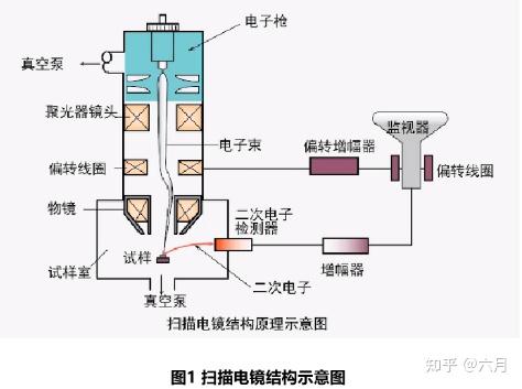 SEM---1 SEM的基本原理及应用 - 知乎