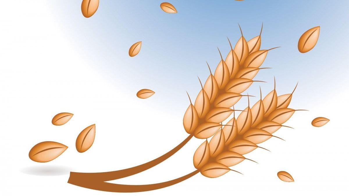 不平凡的麦粒2续集童话故事快让妈妈给你读睡前故事