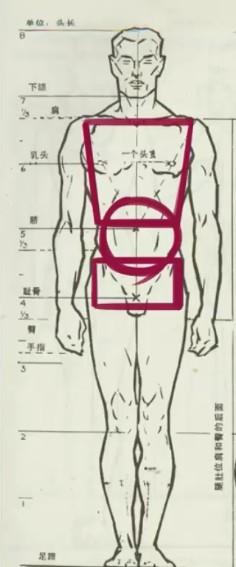 画人体如何练习人体体块造型呢 知乎
