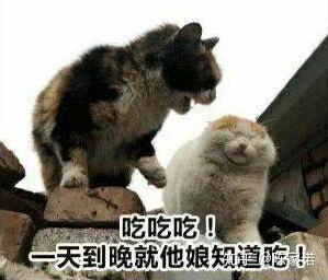 v2-7f62b462c7a982a60641d1748dc755de_b.jpg