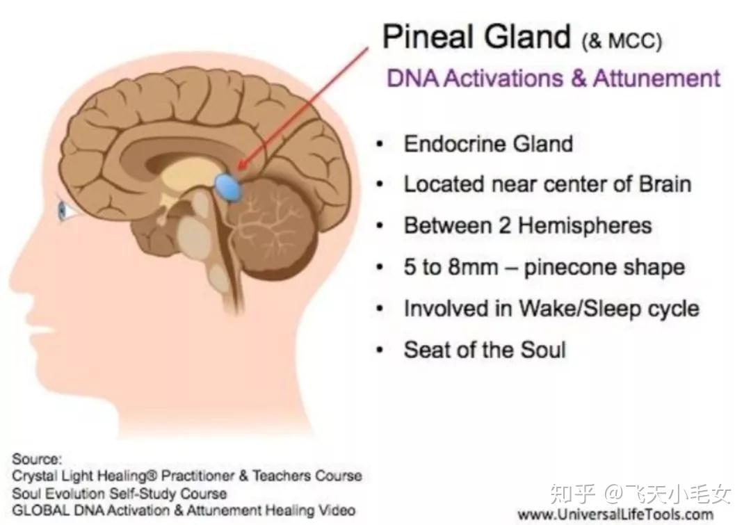五感之诡计我们的感受都是如何被操纵