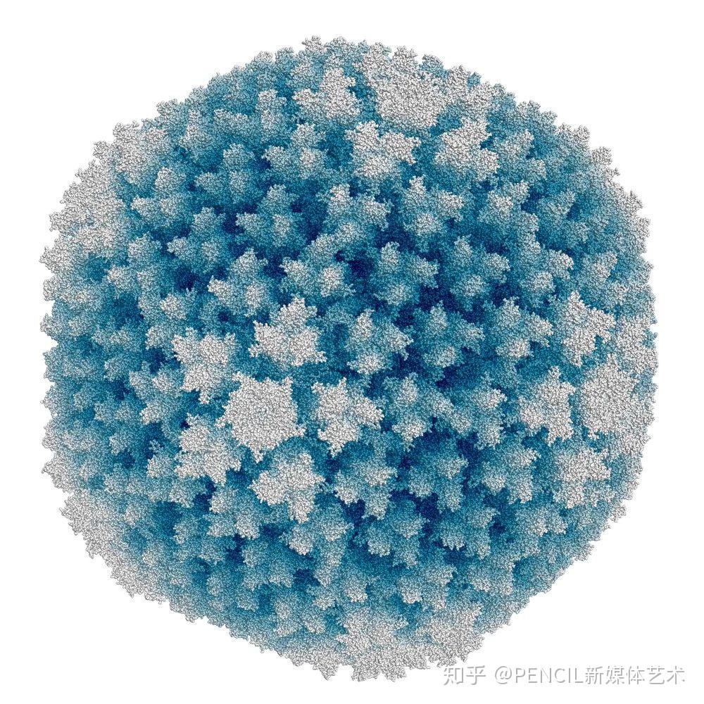 巴西寨卡zika病毒3d模型