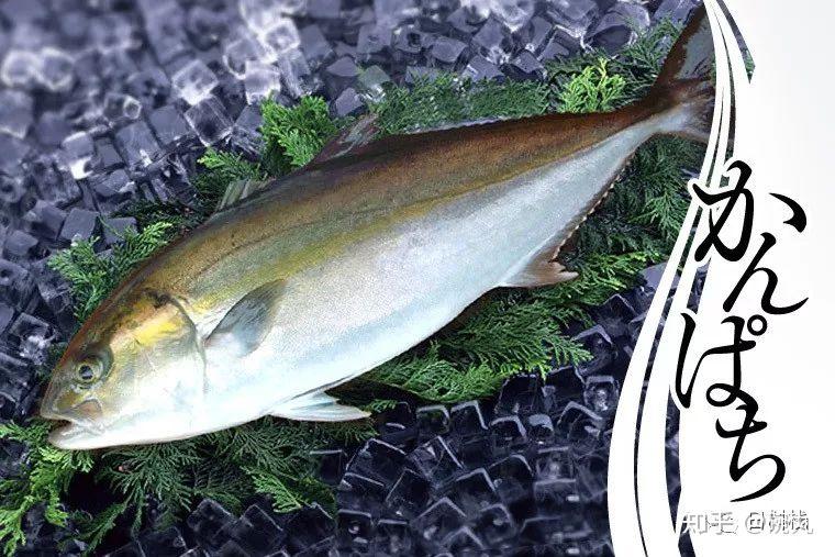 鰤鱼新年到了我想吃鰤鱼馅儿的饺子了