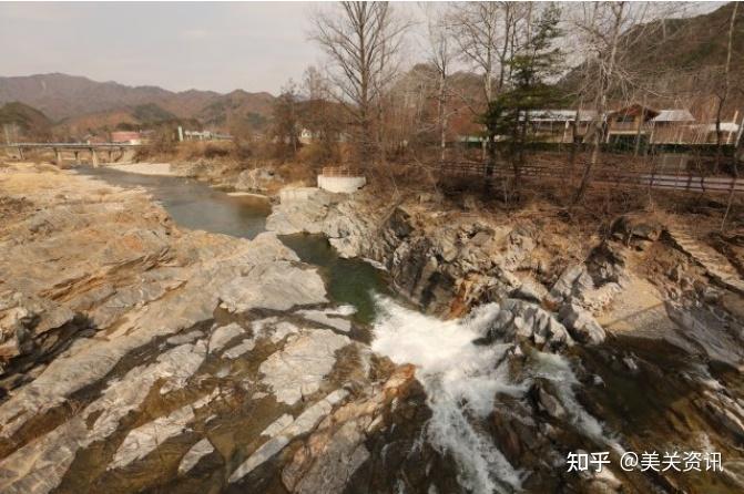 裸木的天堂韩国江原道杨口郡