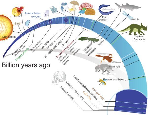 NCBI物种分类数据库（Taxonomy） - 知乎