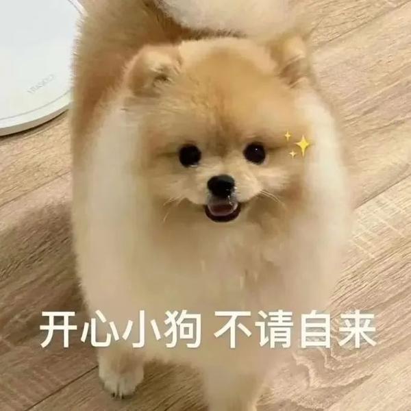 丰富一下哈基米表情包 - 知乎