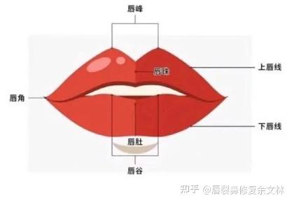 【唇裂鼻修复】唇红边缘不齐,二期唇裂如何修复? - 知乎