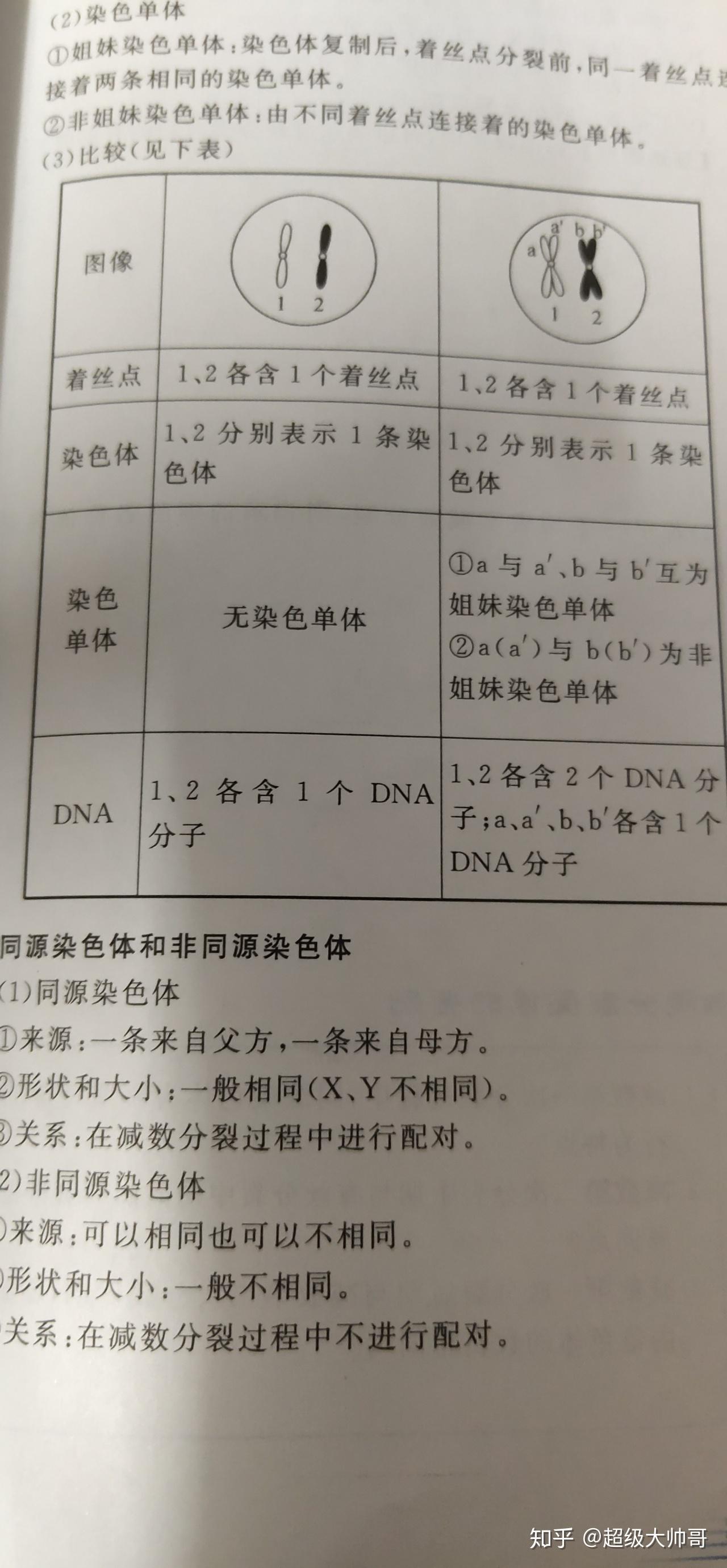 如何判断一张图有多少dna有多少染色体