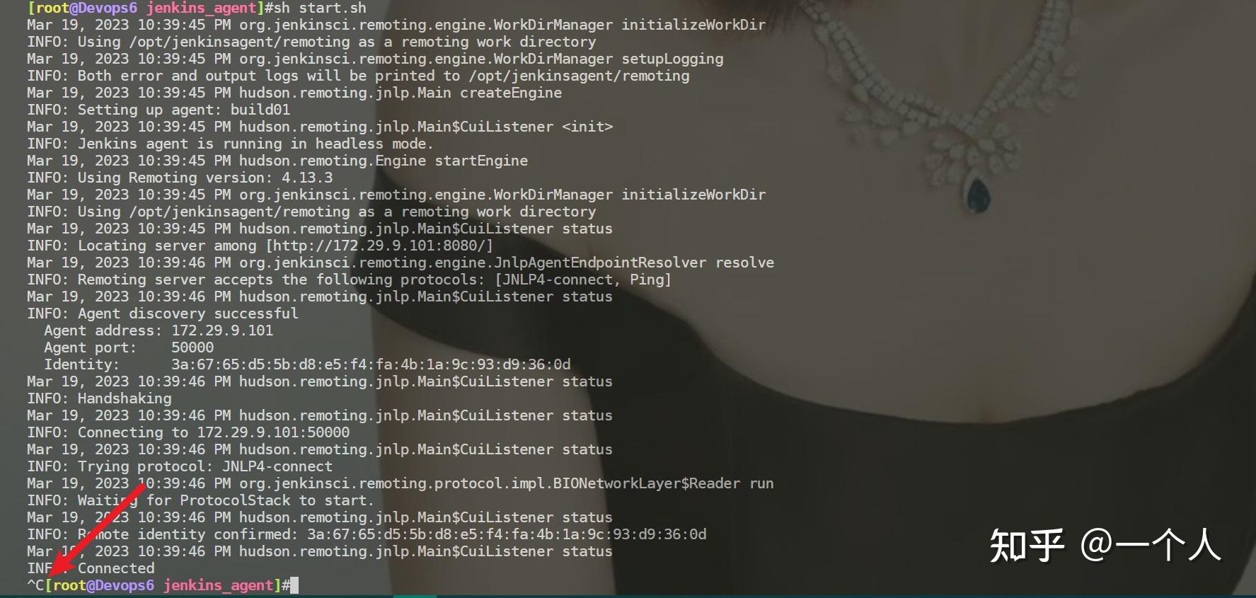 实战：docker方式安装jenkins-2023.3.19(测试成功)(荐) - 知乎