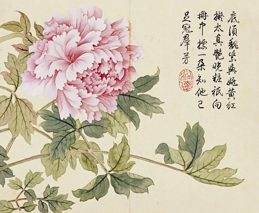 冬心如何临习清朝大才子董诰的没骨画