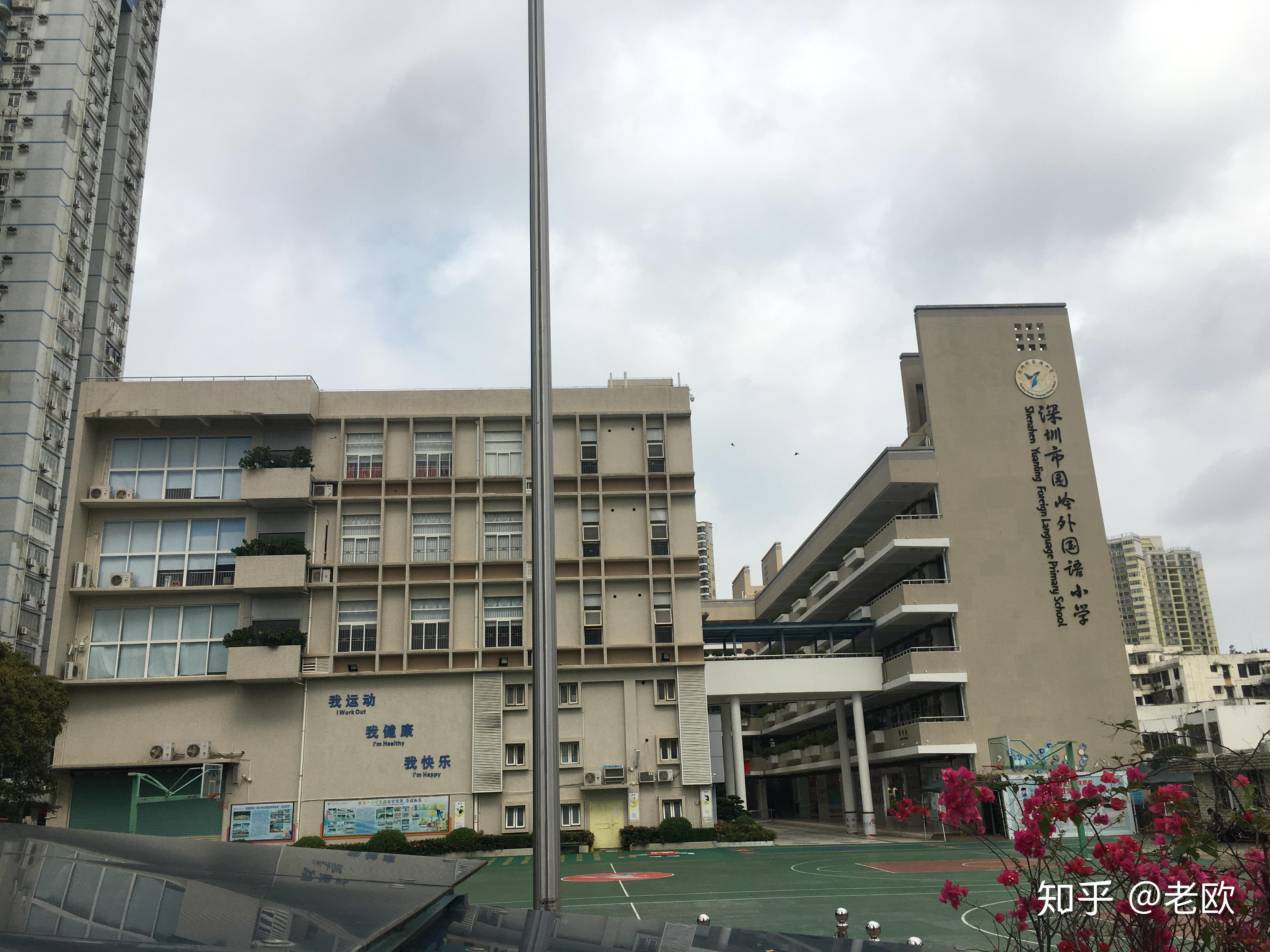 红色虚线是中学学区,色块是小学学区本片区一共涵盖9所小学(不含各