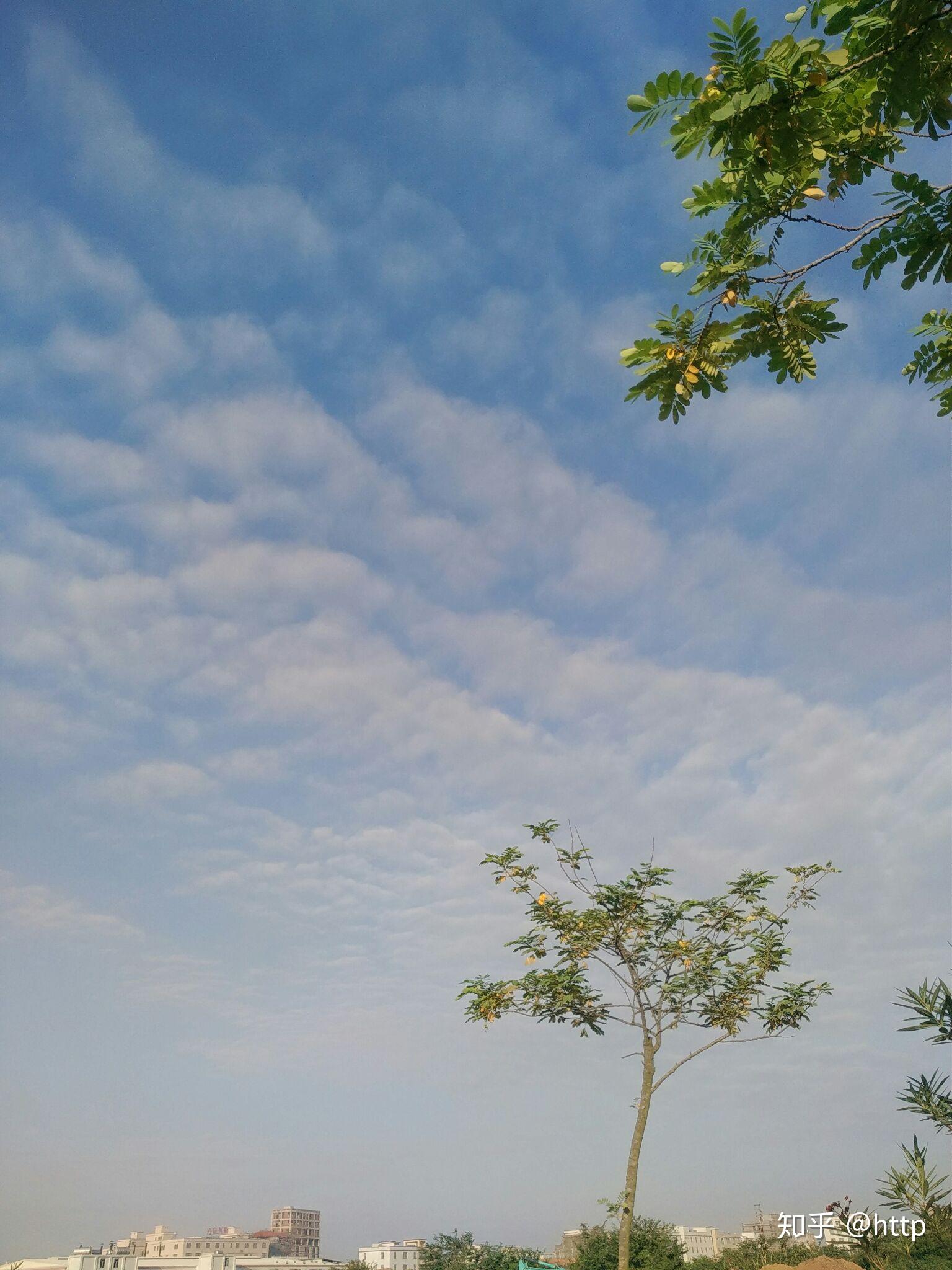 查完2018高考成绩,有何感受?