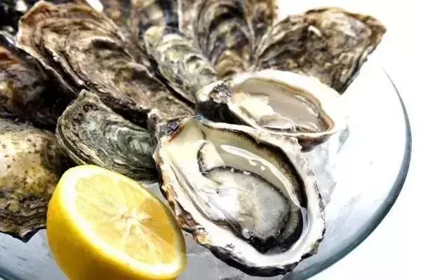 味库海鲜食材百科安之莲生蚝