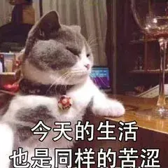 算命的说喵星人吃不出甜味,那我的蛋糕不是白喂了?