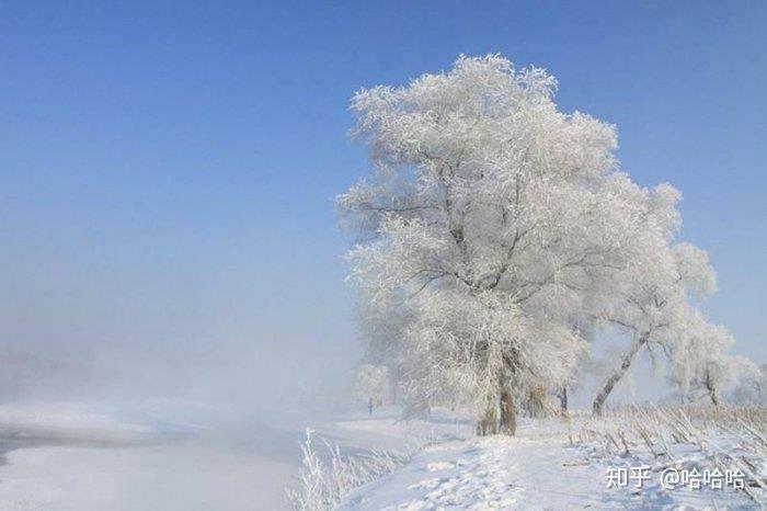 v2-803d854c4f2f1e047ccc9d7359e4b032_r.jpg