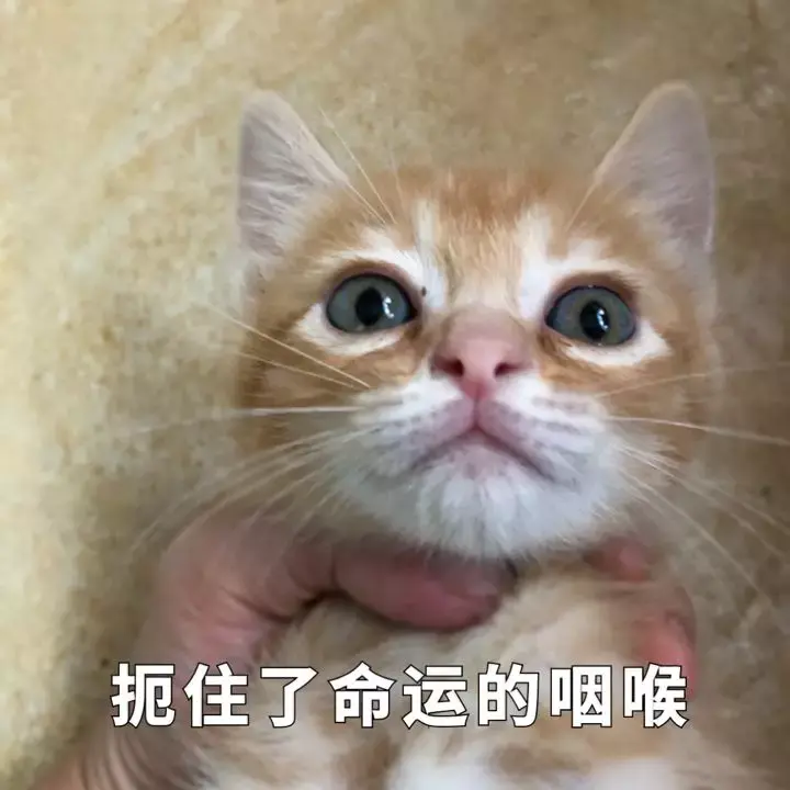 家长有疑问了,号称全市最牛初中的明珠竟被省二扼住了命运的后脖颈