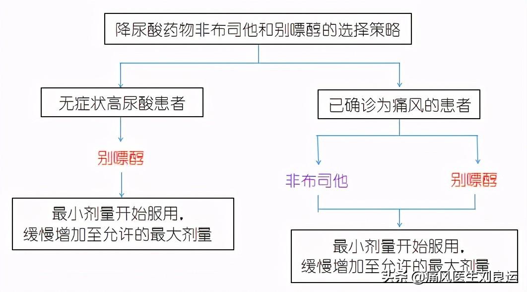 别嘌醇作用机制图片