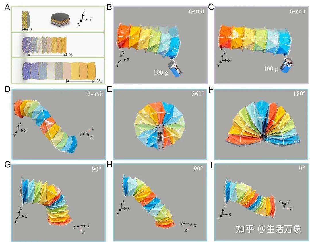 PNAS Nexus pnas-nexus