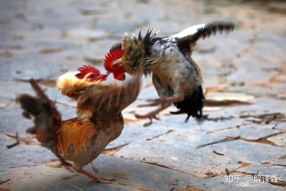 有哪些可以摘抄下来的神仙句子