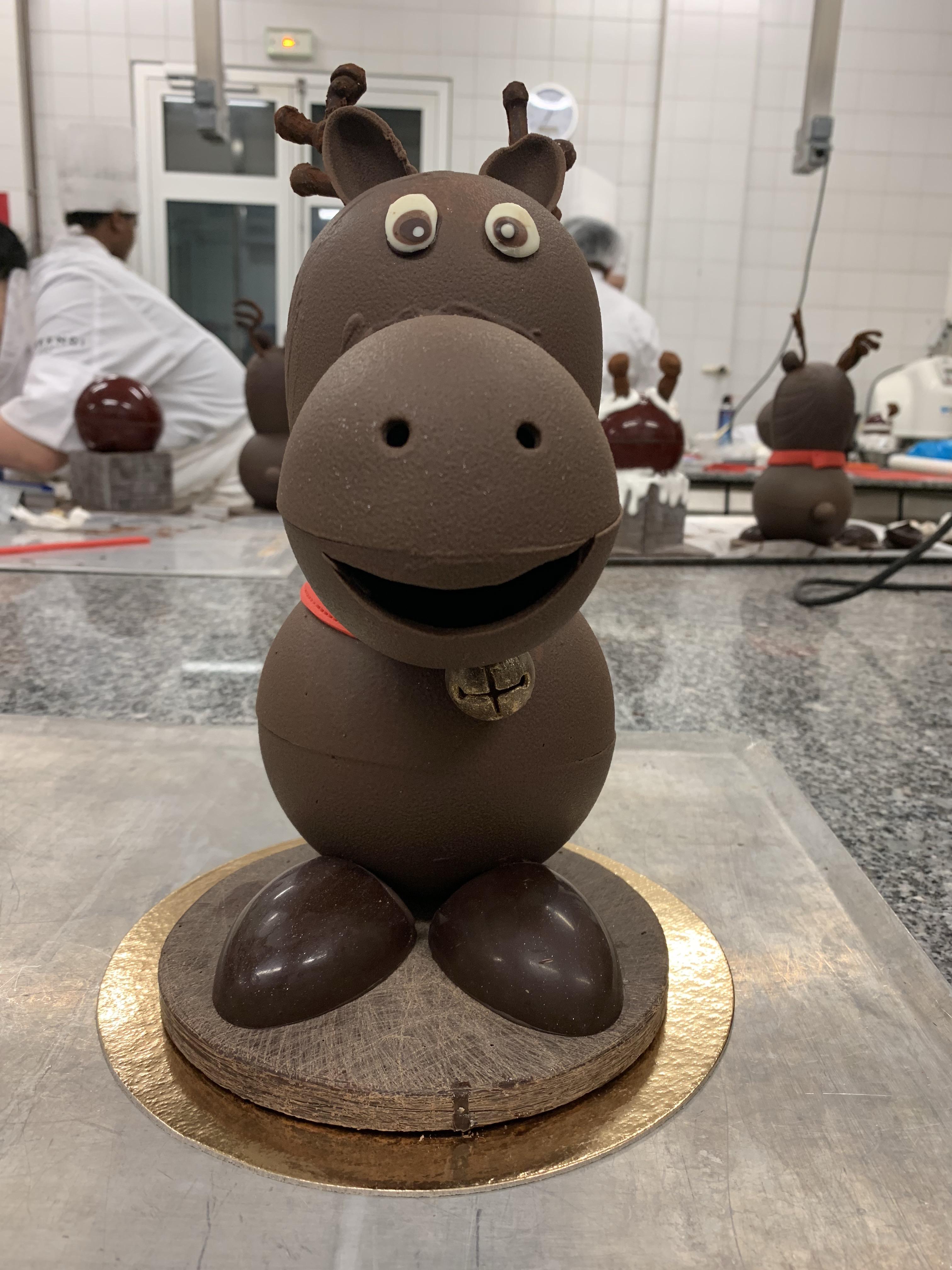 法国巴黎生活之第八十一天ferrandi学习做圣诞巧克力