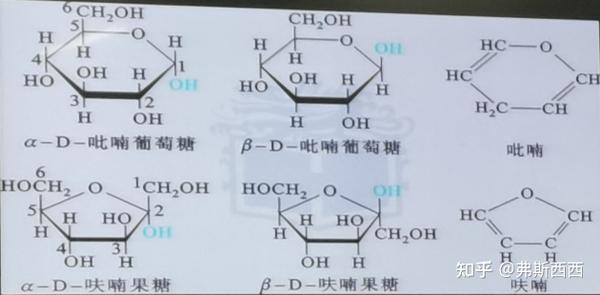 生化——糖类整理 - 知乎