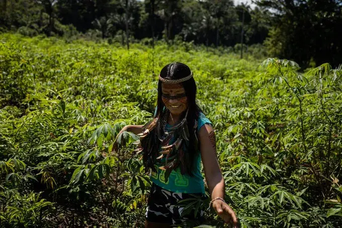亚马逊雨林土著少女直播吃昆虫成网红,如今没钱交网费要被断网了