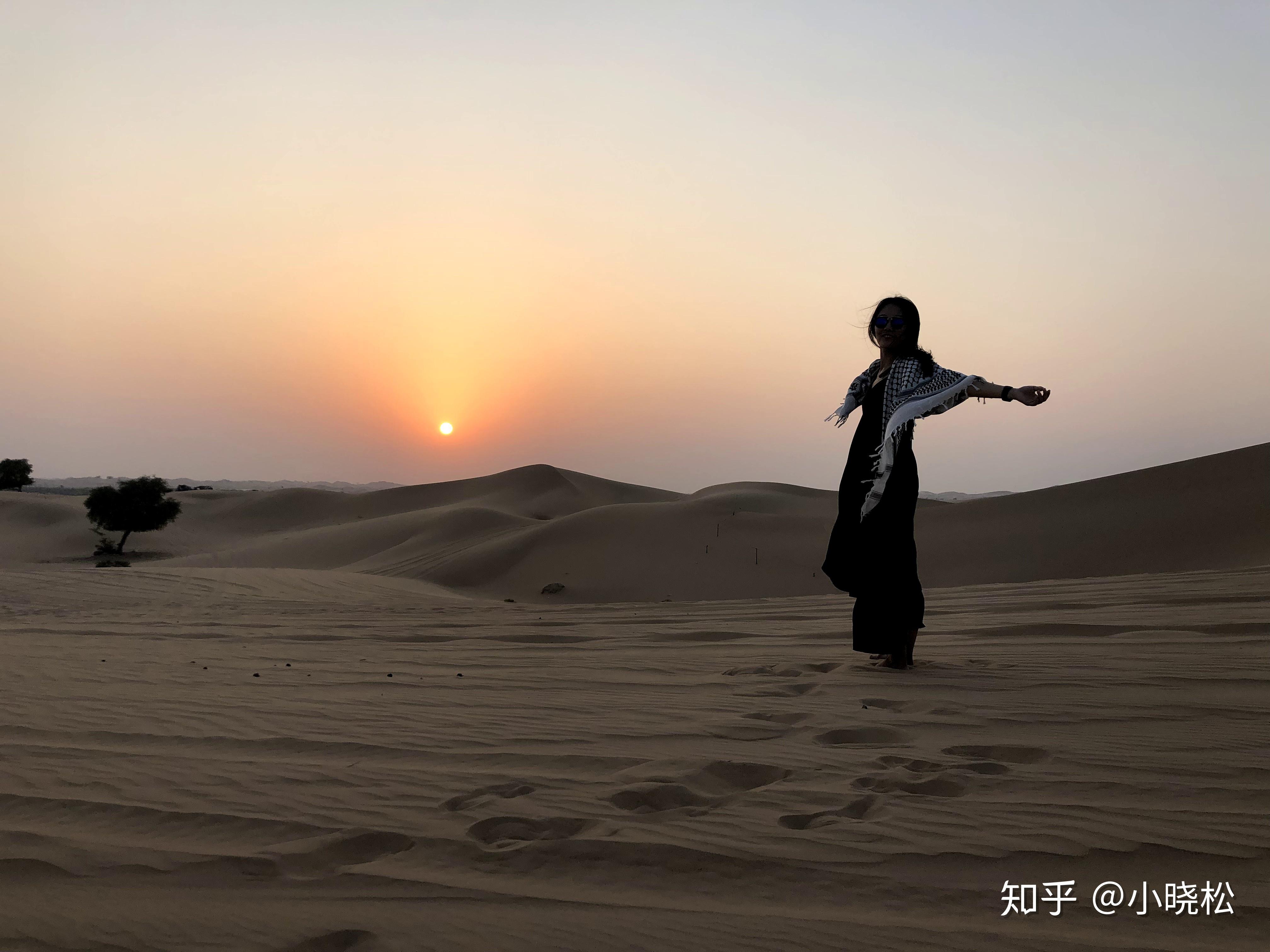 阿布扎比 | 零现金度过20小时的无敌攻略