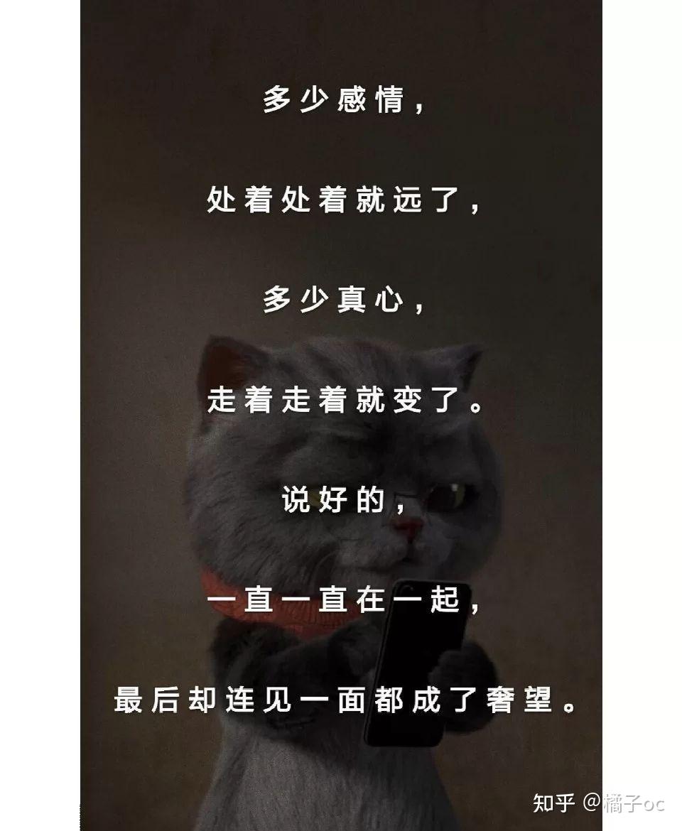 浅了淡了散了删了