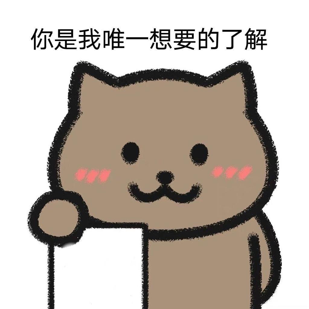 周杰伦歌词猫猫表情包