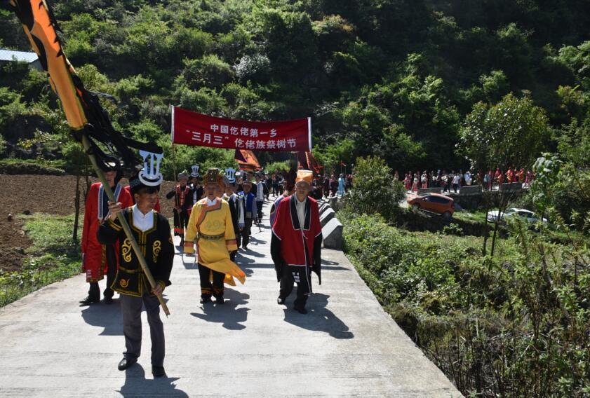 平正仡佬族乡三月三祭树节惊呆游客千年神树浮出水面
