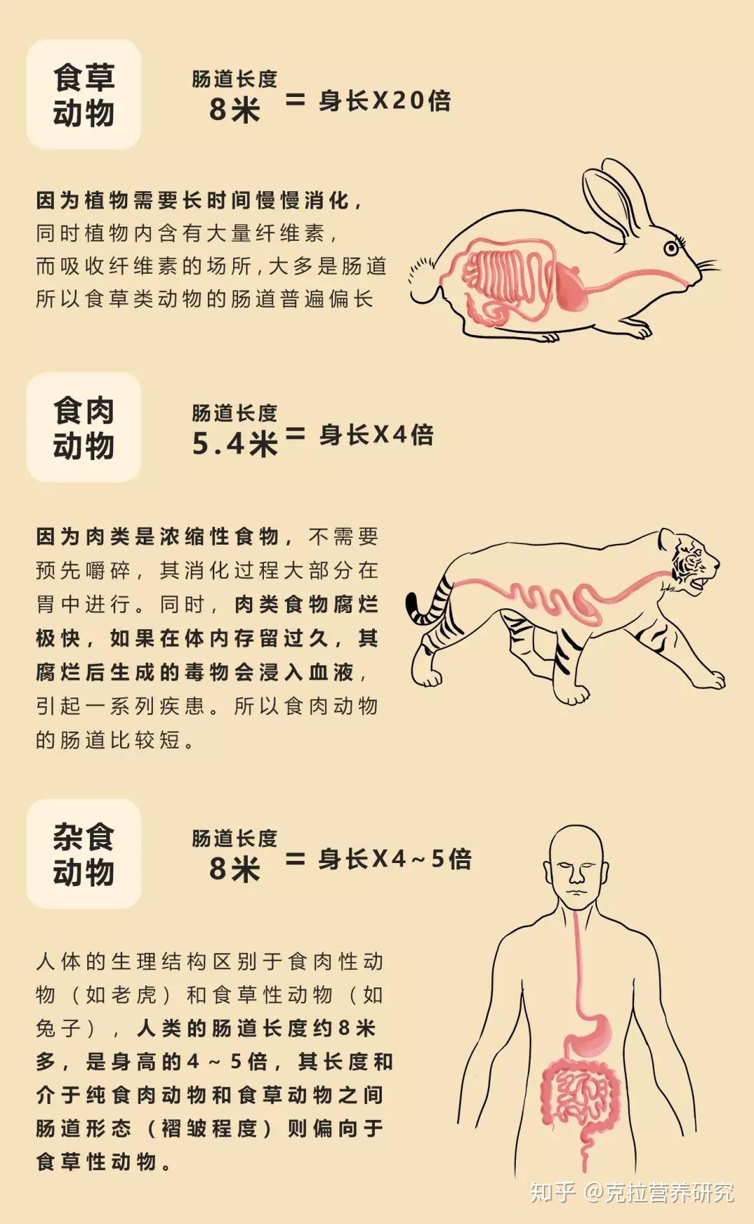 SO的用法 百度知道
