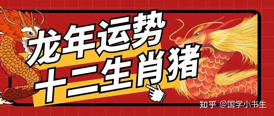1982年生肖猪运势(1982年猪年的运势)