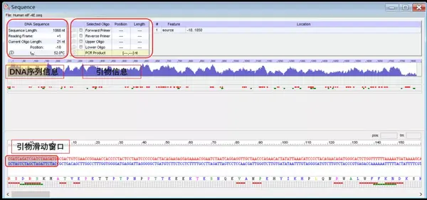 常用生物学软件的安装与应用（六） —Oligo7 - 知乎