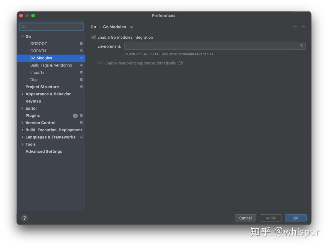 Enable go modules integration 
