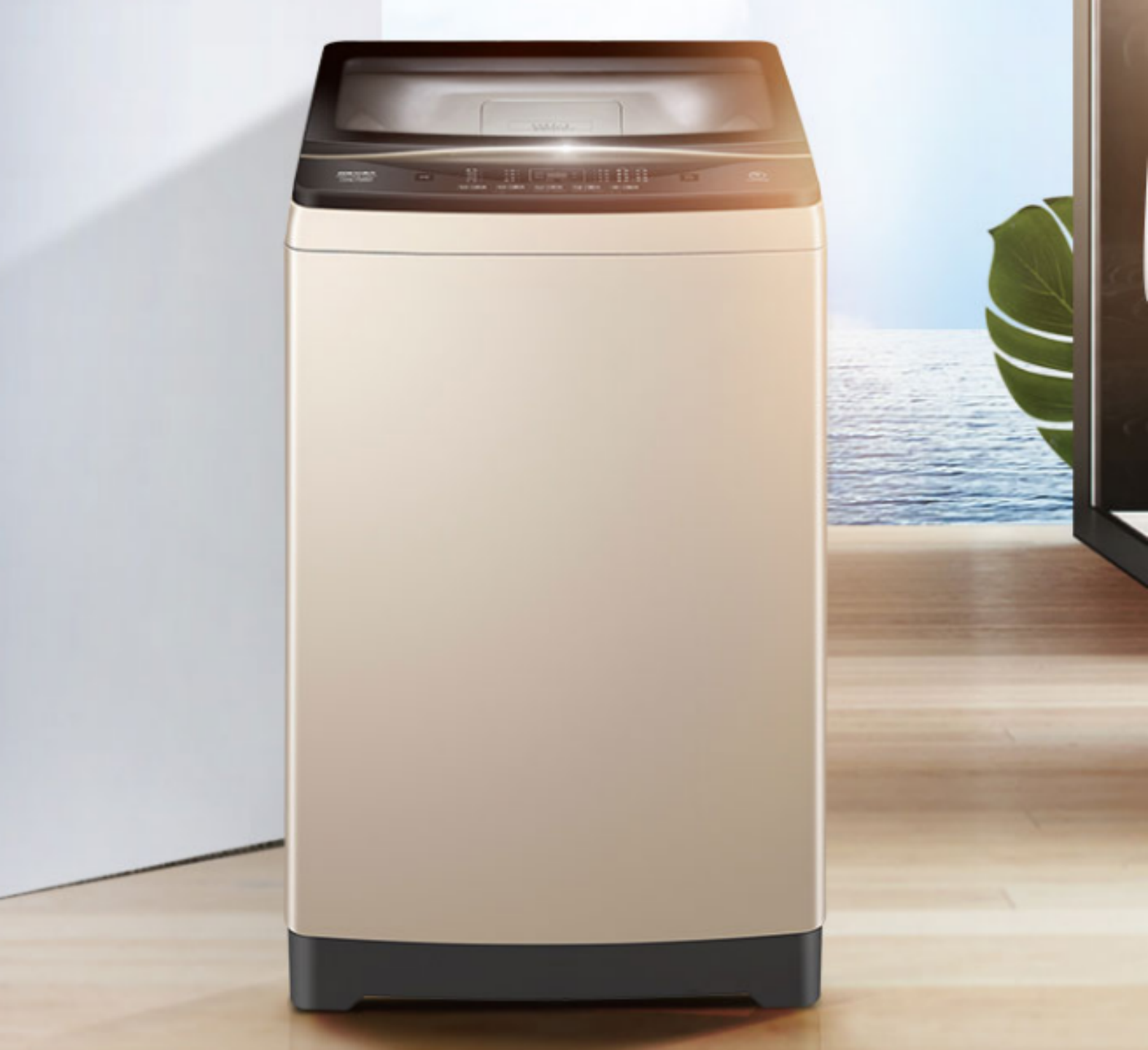 2000元-3000元波轮洗衣机