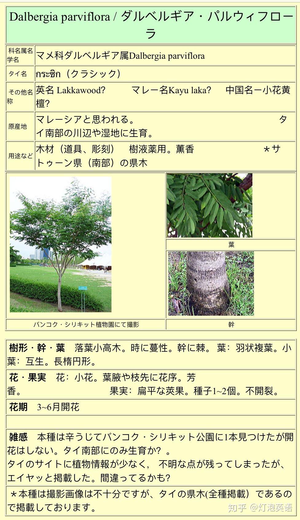 聞香・柬蒲寨産 根瘤黄花梨 海南黄花梨树主要病虫害如何防治_搜狐网