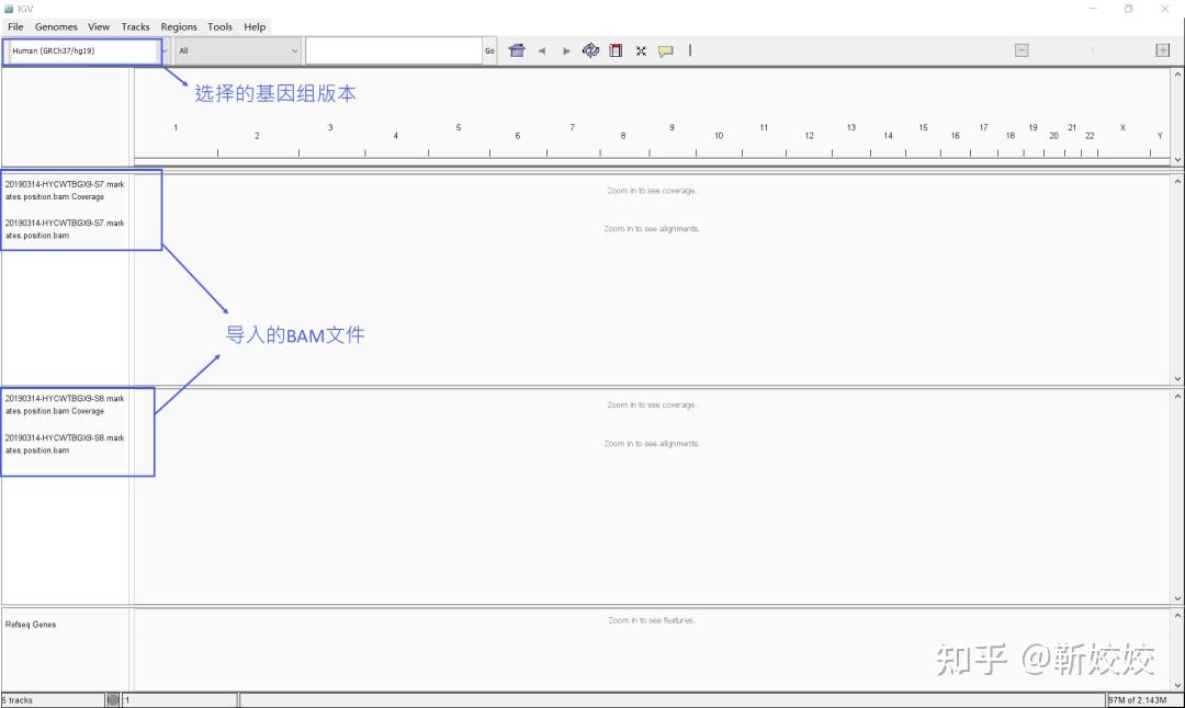 IGV快速上手指南(二)——查看靶向捕获测序数据及探针文件 - 知乎