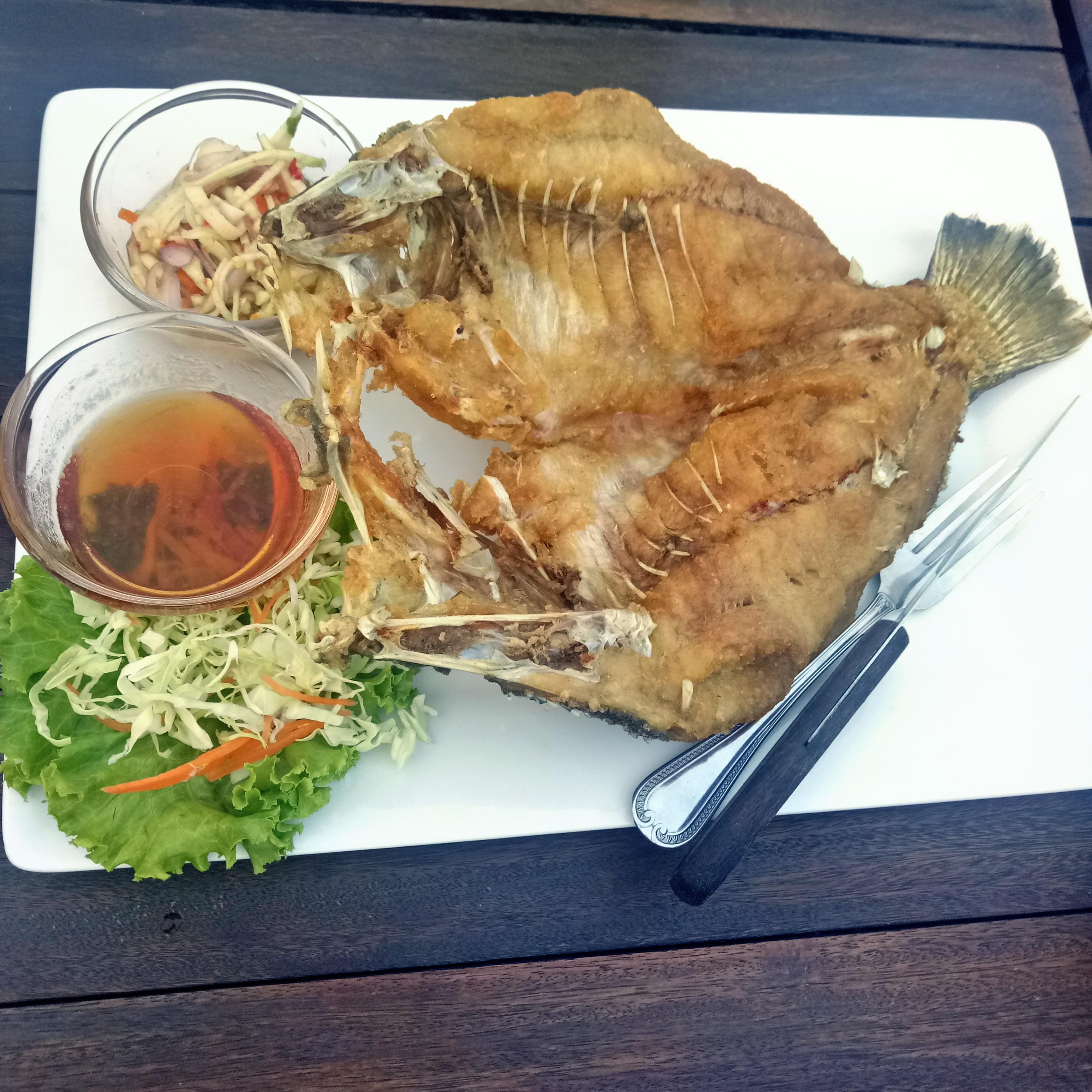 君行国际义工组织的活动质量好吗?参加项目有