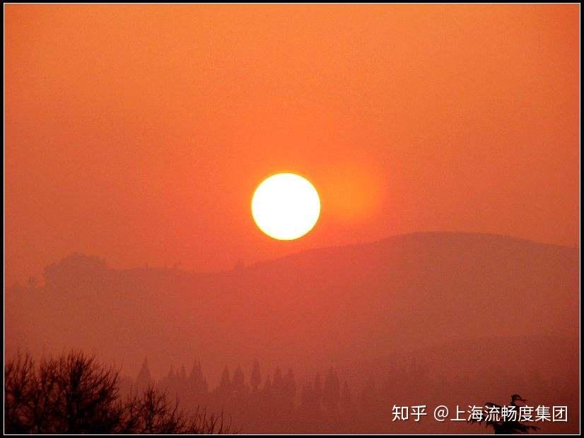你的人生像什么?早晨八点钟初升的太阳?陌路黄花的迷茫?
