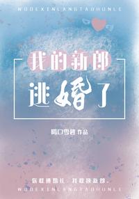 图标