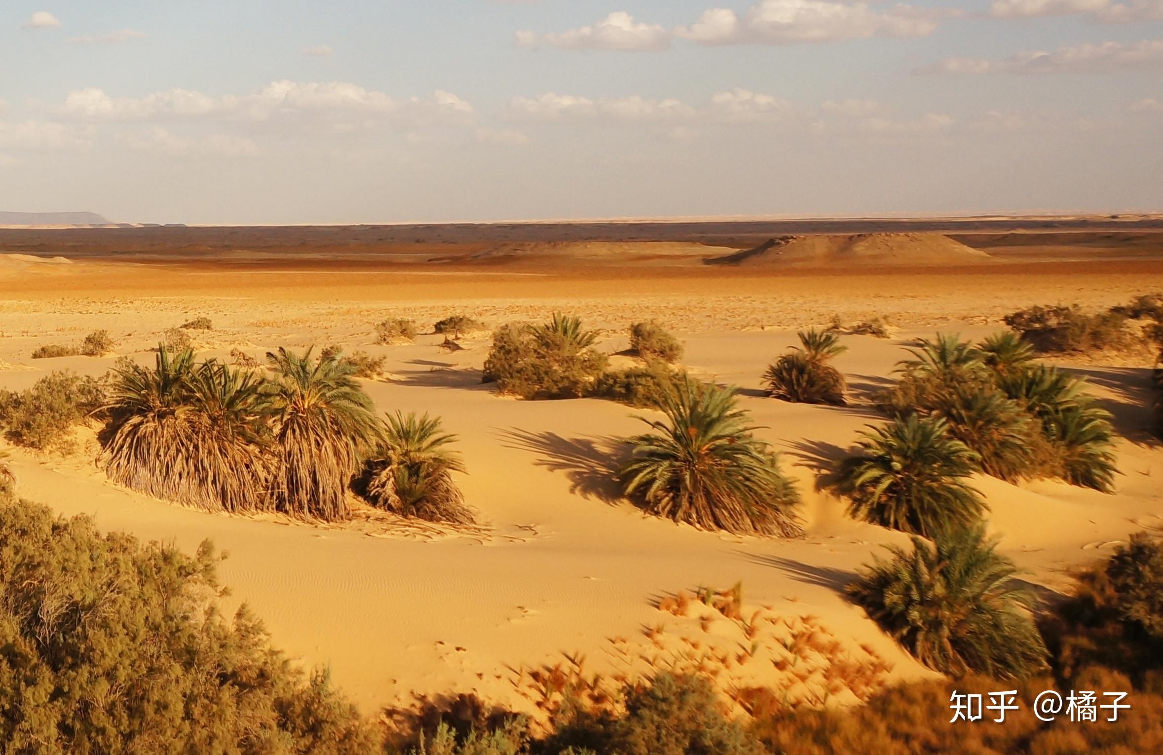 埃及黑白沙漠,原来沙漠不只有沙子 - 知乎