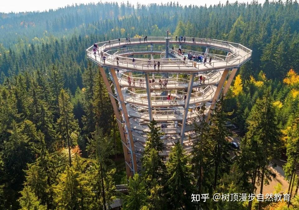 仙女山树顶漫步团建产品上线,欢迎来撩! - 知乎
